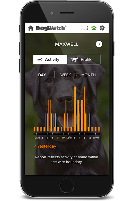 DogWatch of AB, Calgary, AB | SmartFence WebApp Image