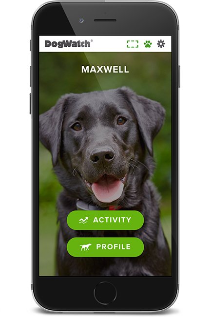 DogWatch of AB, Calgary, AB | SmartFence WebApp Image