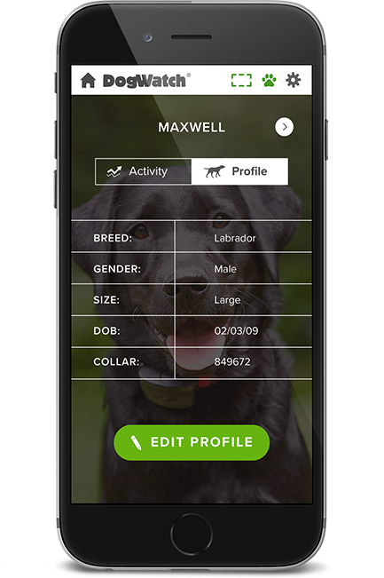 DogWatch of AB, Calgary, AB | SmartFence WebApp Image