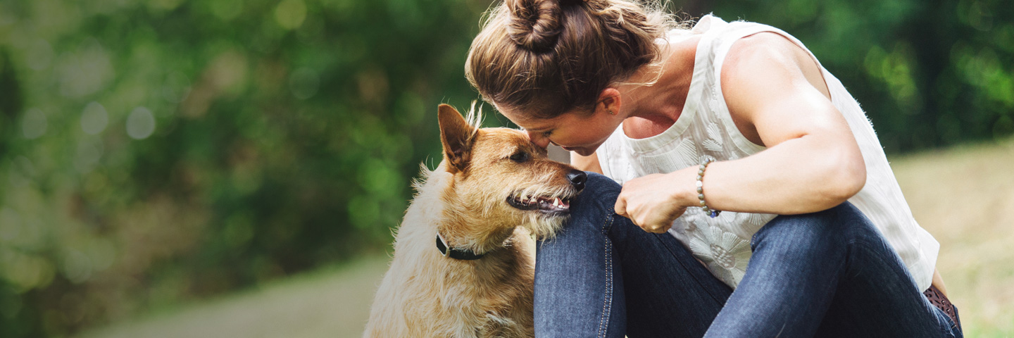 DogWatch of AB, Calgary, AB | BarkCollar No-Bark Trainer Slider Image